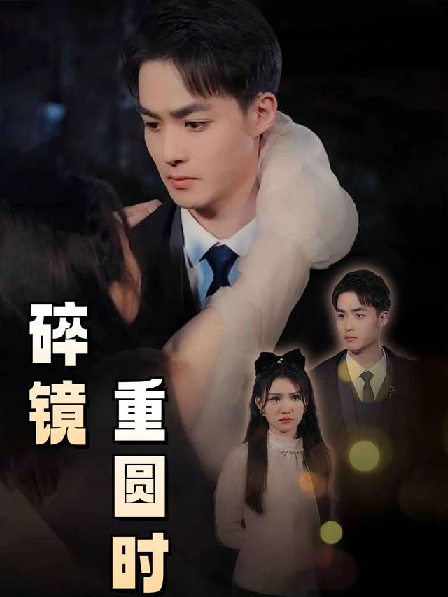 碎镜重圆时封面