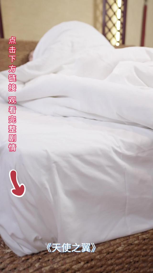 天使之翼封面