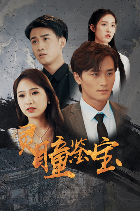 灵瞳鉴宝封面