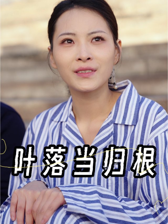 叶落当归根封面