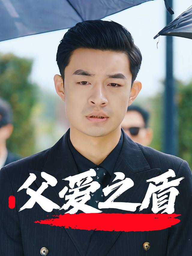 父爱之盾封面