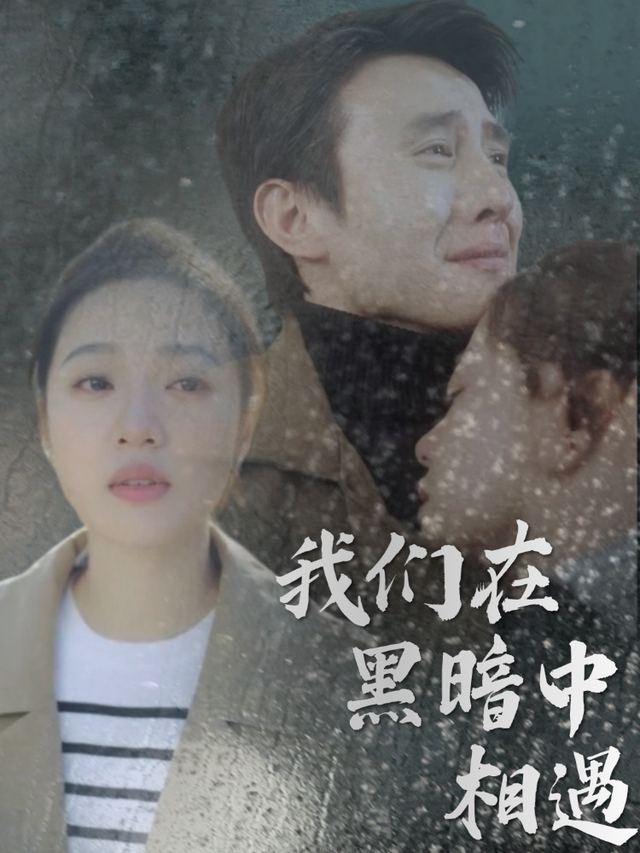 我们在黑暗中相遇封面