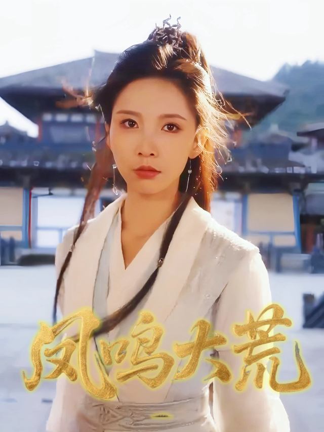 凤鸣大荒封面