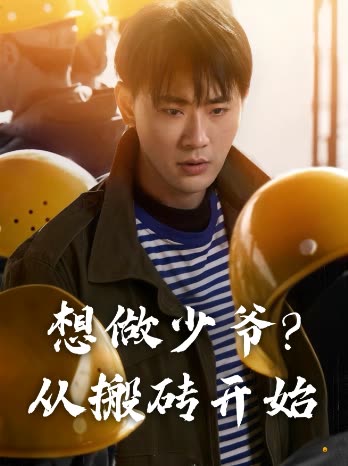 想做少爷?从搬砖开始封面
