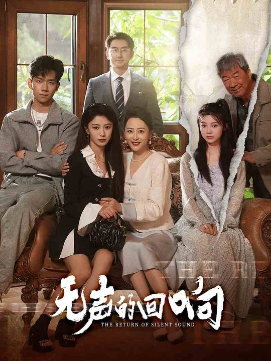 无声的回响封面