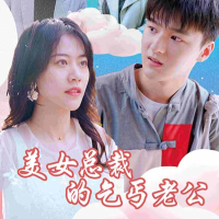 美女总裁的乞丐老公封面