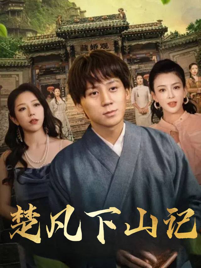楚凡下山记封面
