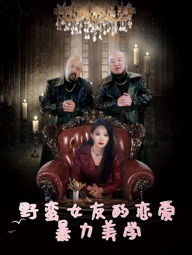野蛮女友的恋爱暴力美学封面