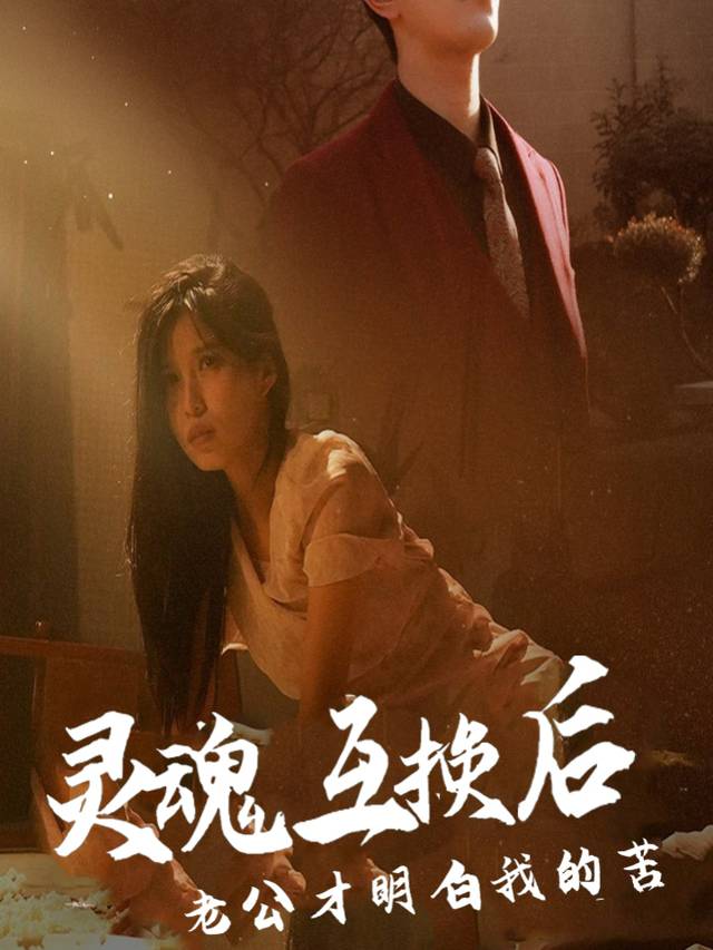 灵魂互换后老公才明白我的苦封面