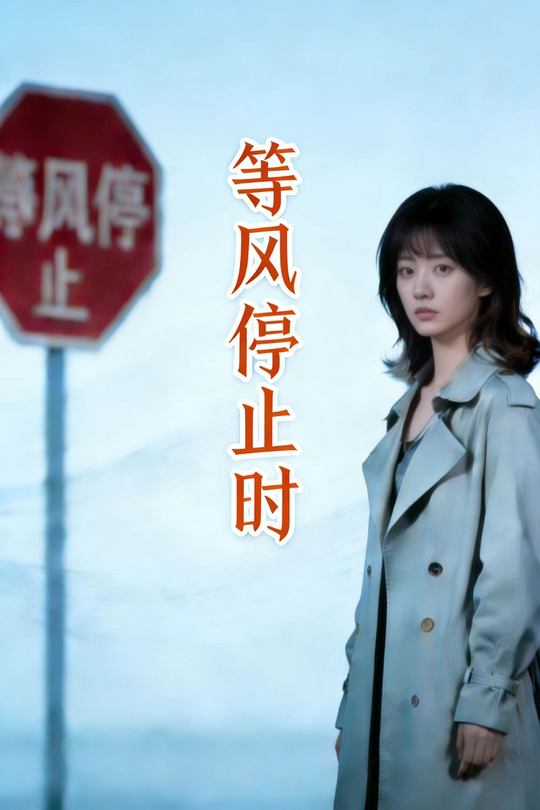 等风停止时封面