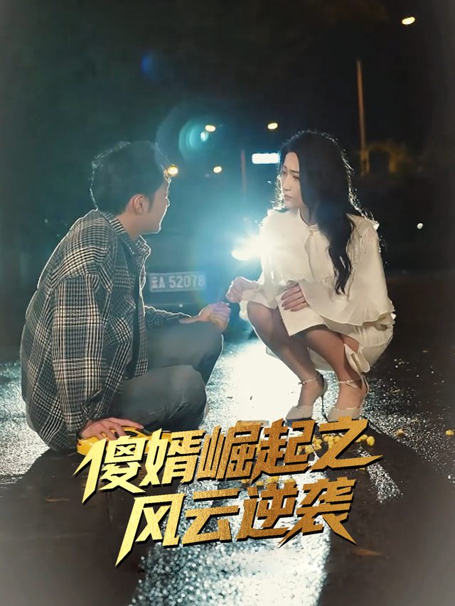 傻婿崛起之风云逆袭封面