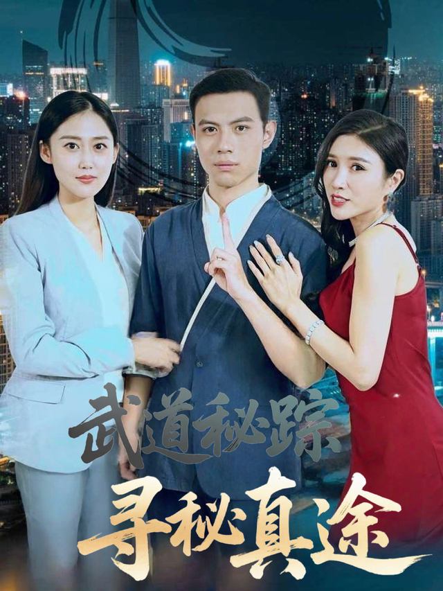 武道秘踪寻秘真途封面