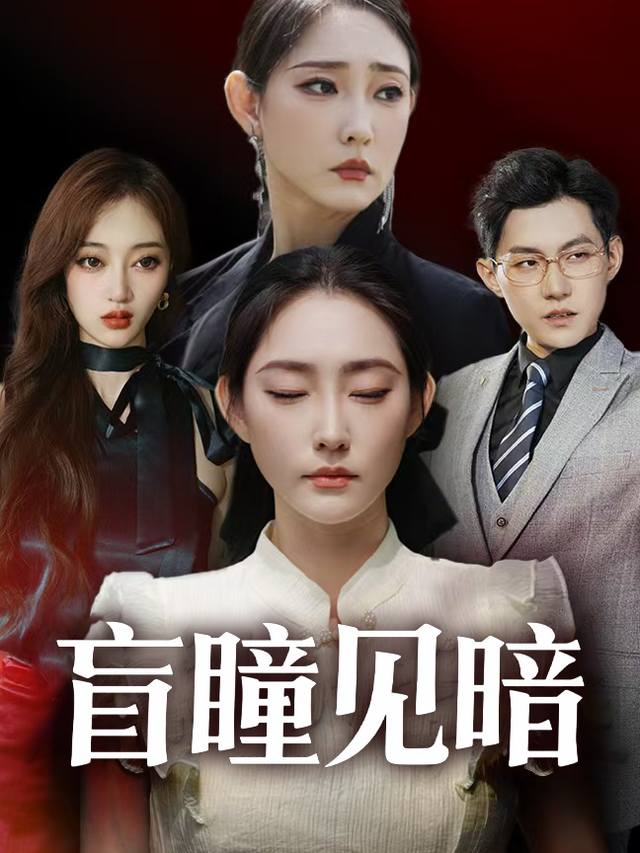 盲瞳见暗封面