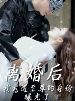 离婚后我武道至尊的身份曝光了封面