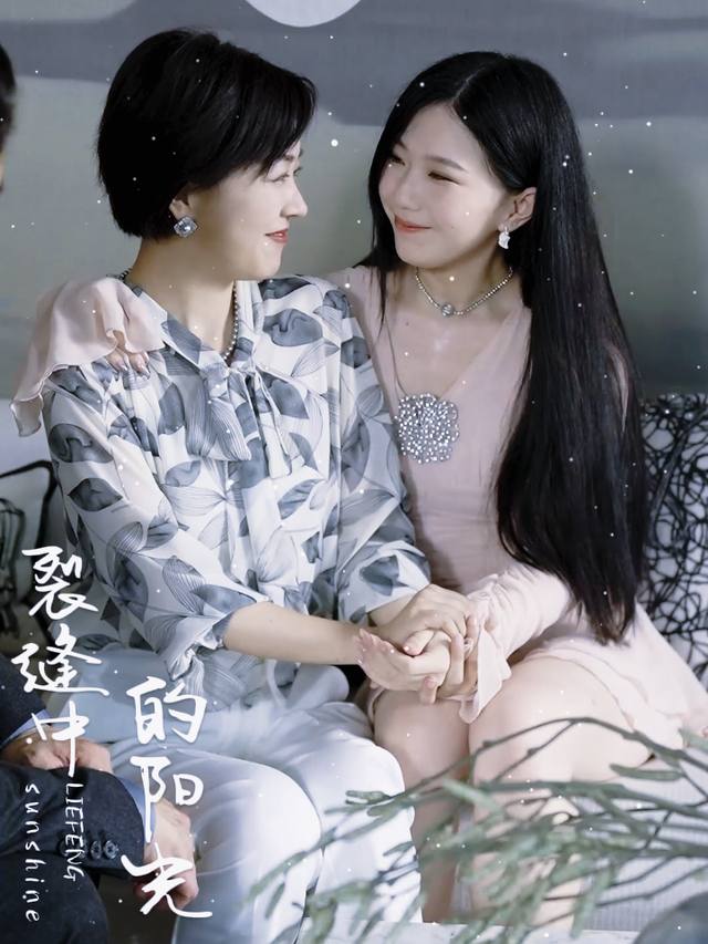 裂缝中的阳光封面