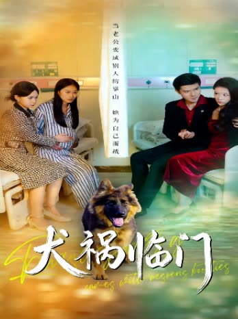 犬祸临门封面