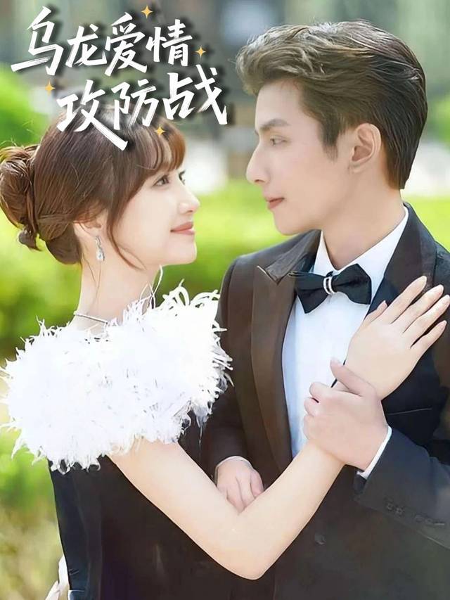 乌龙爱情攻防战封面