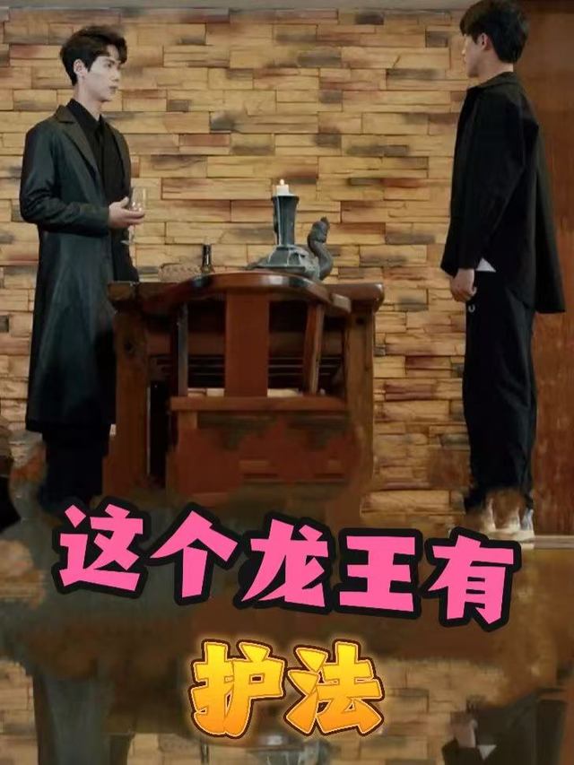 这个龙王有护法封面