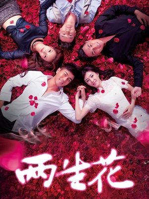 合集 · 两生花(上)封面