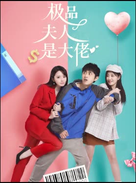 极品夫人是大佬封面
