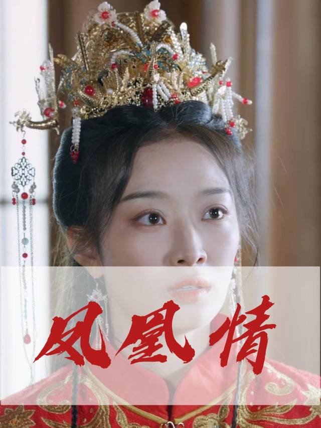 凤凰情封面
