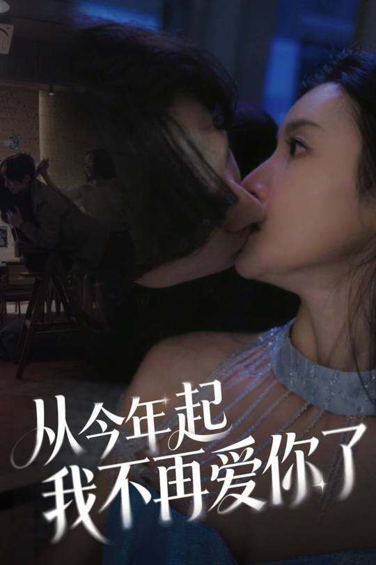 从今年起我不再爱你了封面