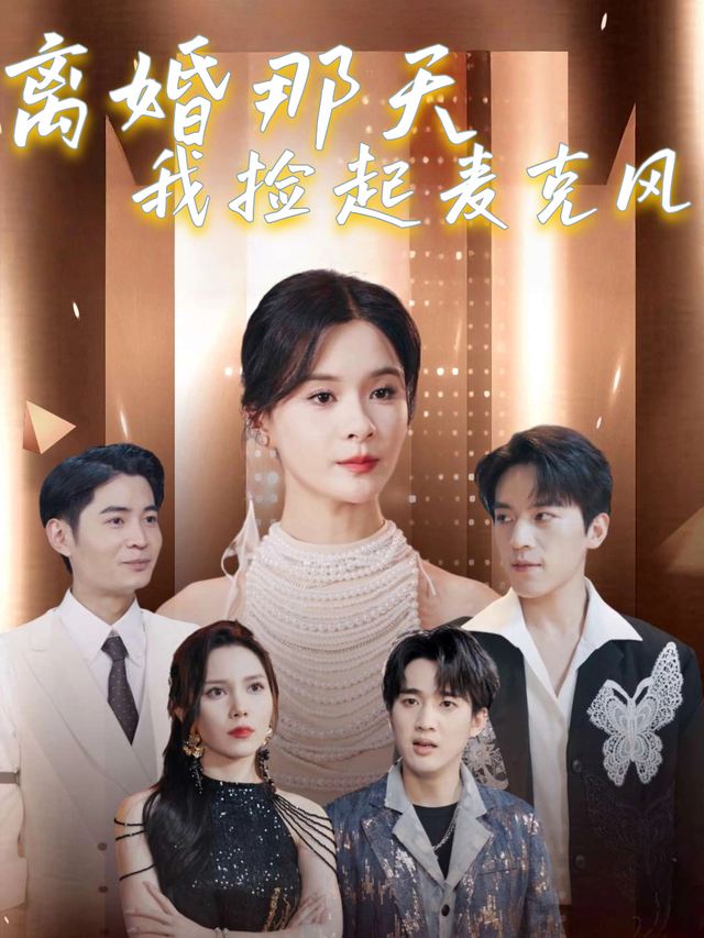离婚那天,我捡起麦克风封面