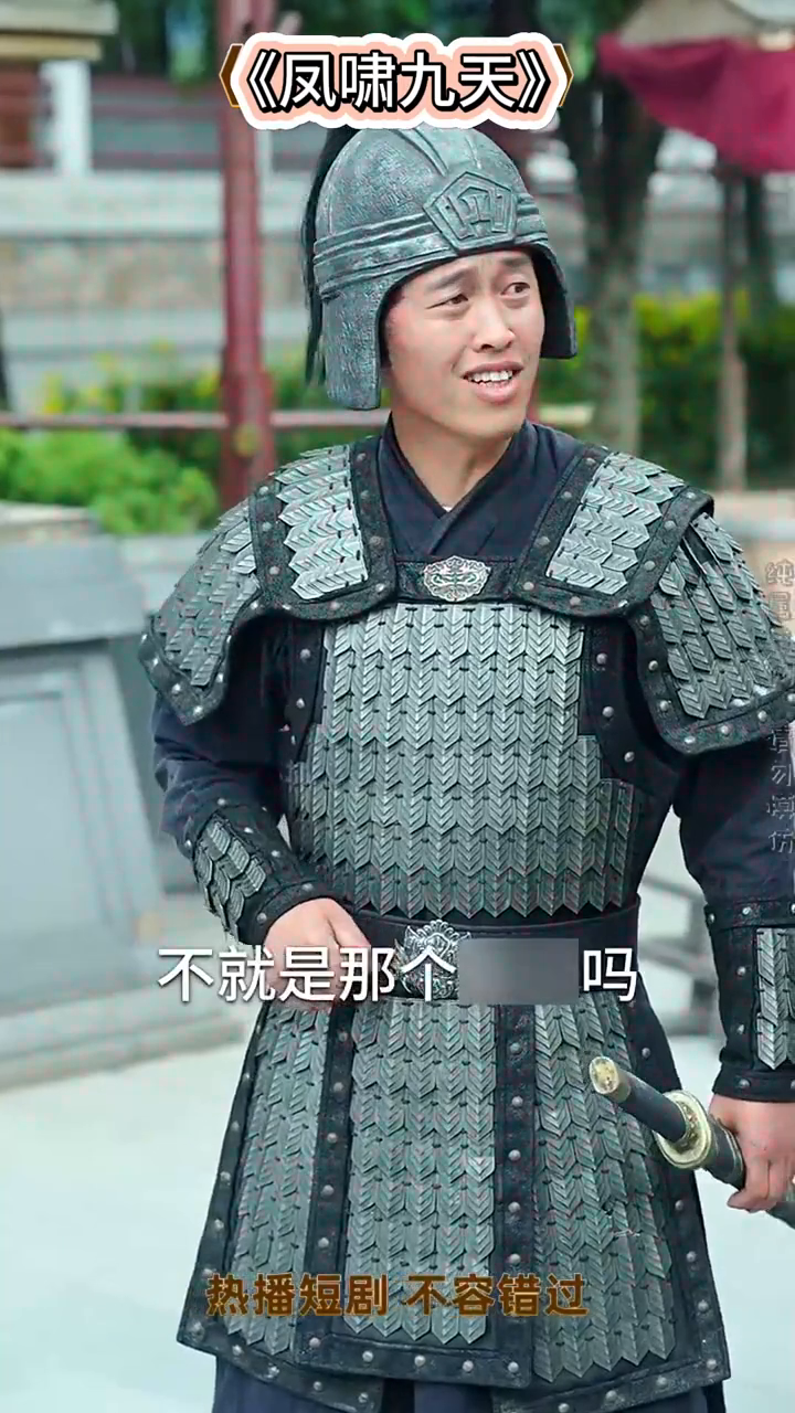凤啸九天封面