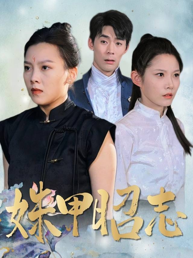 姝甲昭志封面