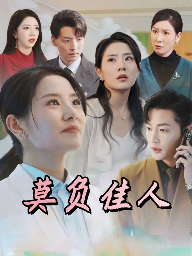 莫负佳人封面