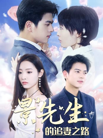 景先生的追妻之路封面