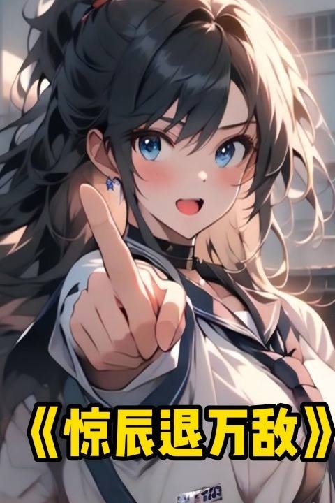 惊辰退万敌封面
