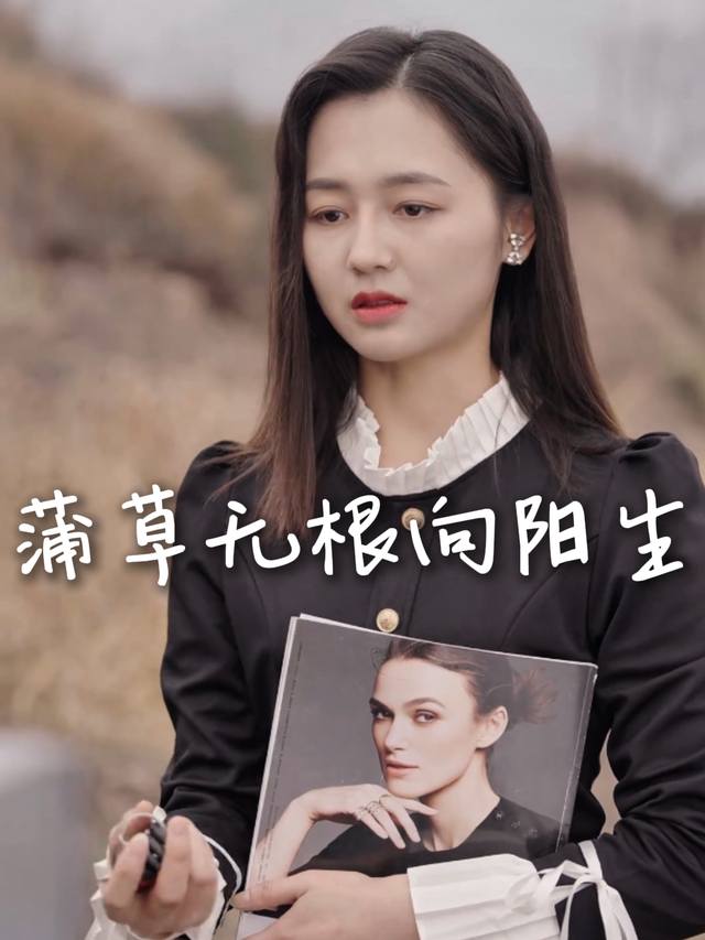 蒲草无根向阳生封面