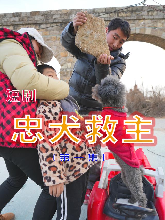 神犬锤锤之忠犬救主封面