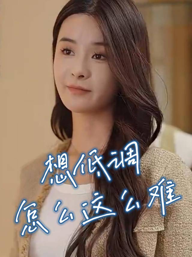 想低调怎么这么难封面