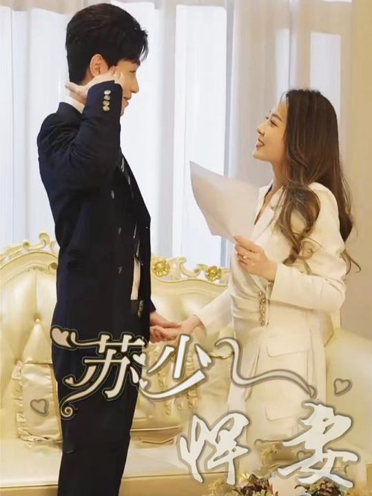 苏少悍妻封面