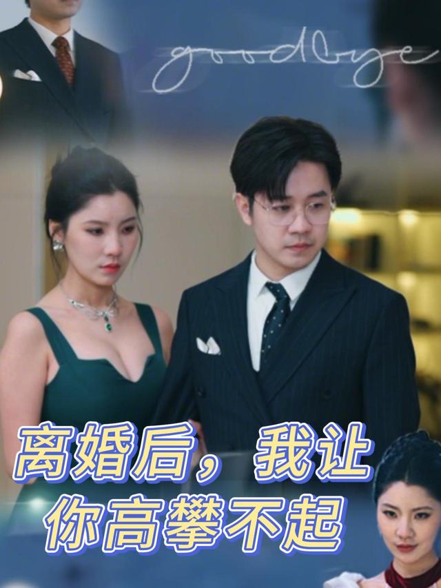 离婚后,我让你高攀不起封面