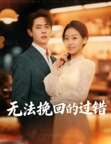 无法挽回的过错封面
