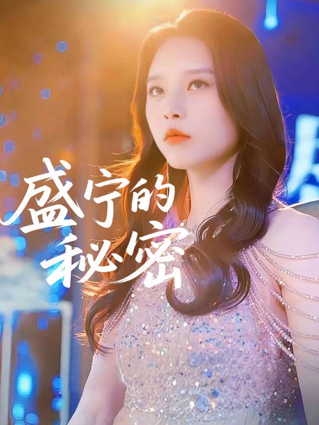 盛宁的秘密封面