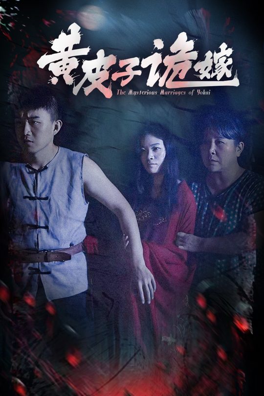 黄皮子诡嫁封面