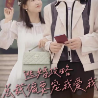 逃婚攻略:总裁偏要宠我爱我封面