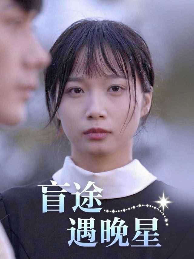 盲途遇晚星封面