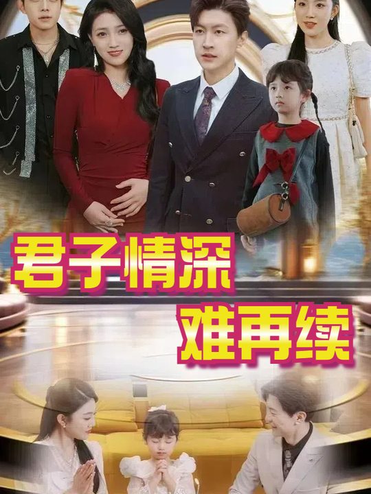 君子情深难再续封面
