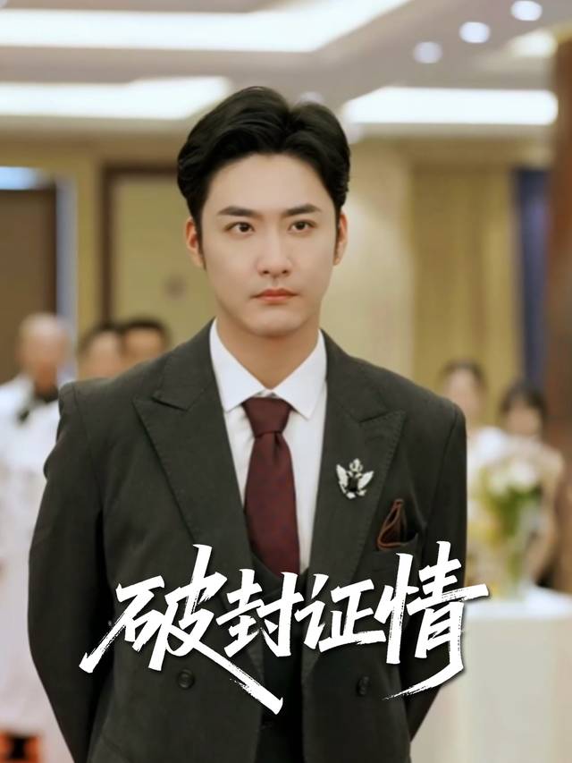 破封证情封面