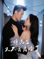 傅先生又不肯离婚了封面