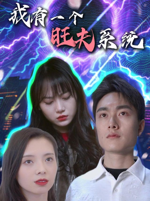 我有一个旺夫系统封面