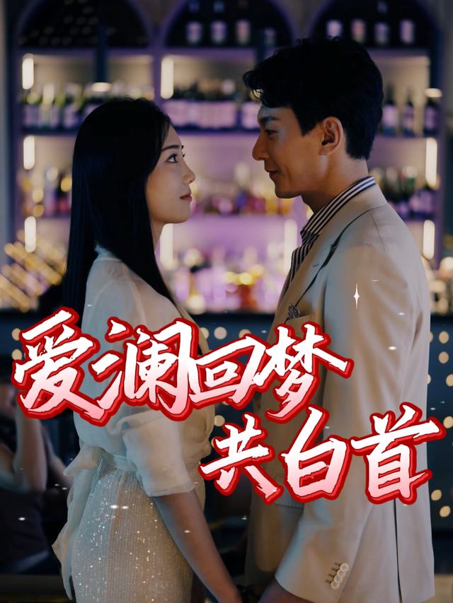 爱澜回梦共白首封面