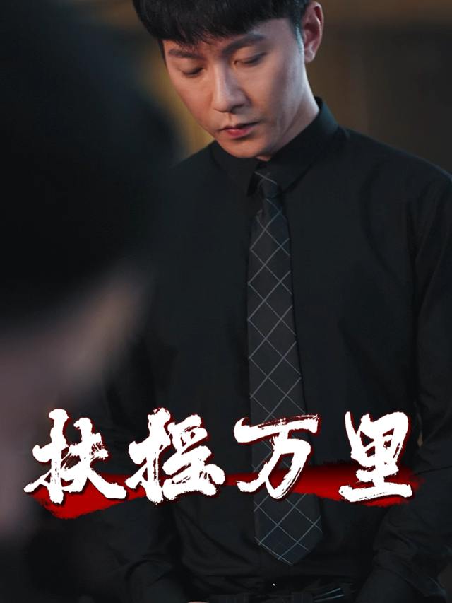 扶摇万里封面