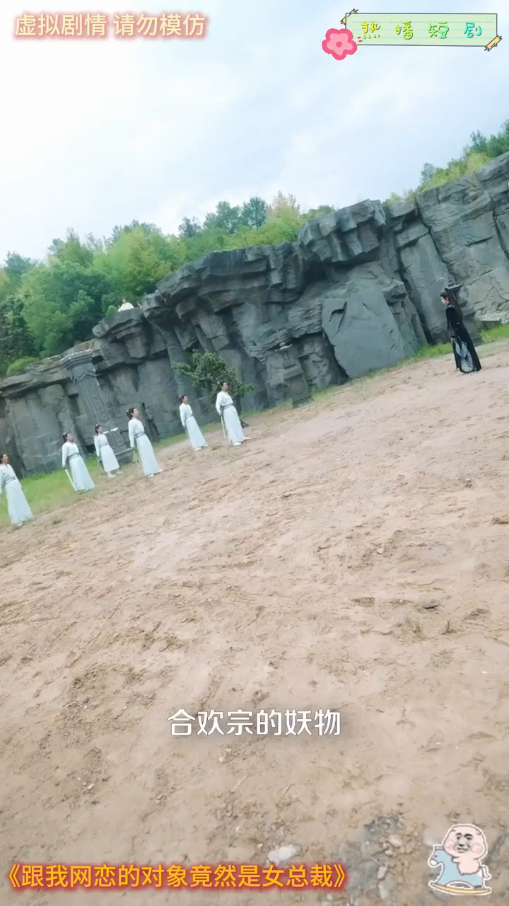 跟我网恋的对象竟然是女总裁封面