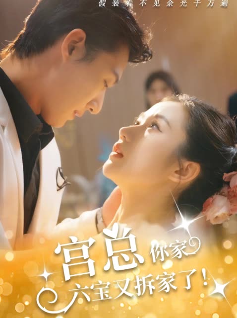 宫总,你家六宝又拆家了!封面